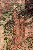 Spider Rock Vertical panorama from Overlook
