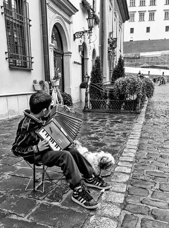 Krakow: Beggar